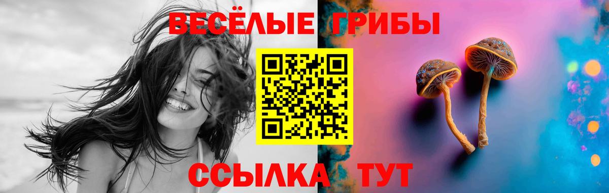 Прокопьевск  Галлюциногенные грибы Cubensis  Вход с VPN 